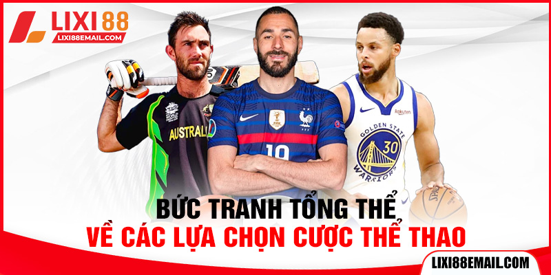 Bức tranh tổng thể về các lựa chọn cược thể thao