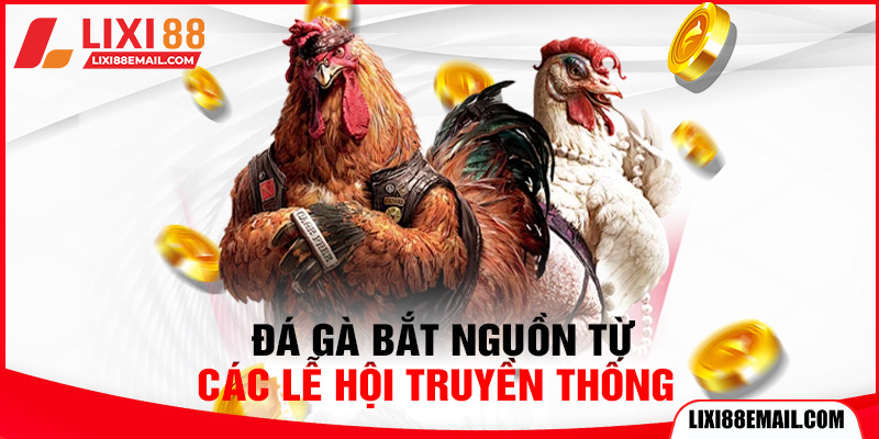 Đá gà bắt nguồn từ các lễ hội truyền thống