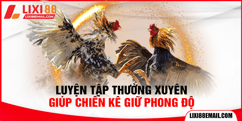 Luyện tập thường xuyên giúp chiến kê giữ phong độ