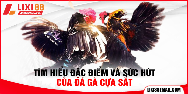 Tìm hiểu đặc điểm và sức hút của đá gà cựa sắt